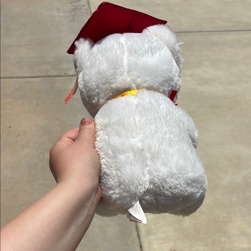 Graduation Teddy Bear with Red Cap and picture frame - Picture 4 of 7